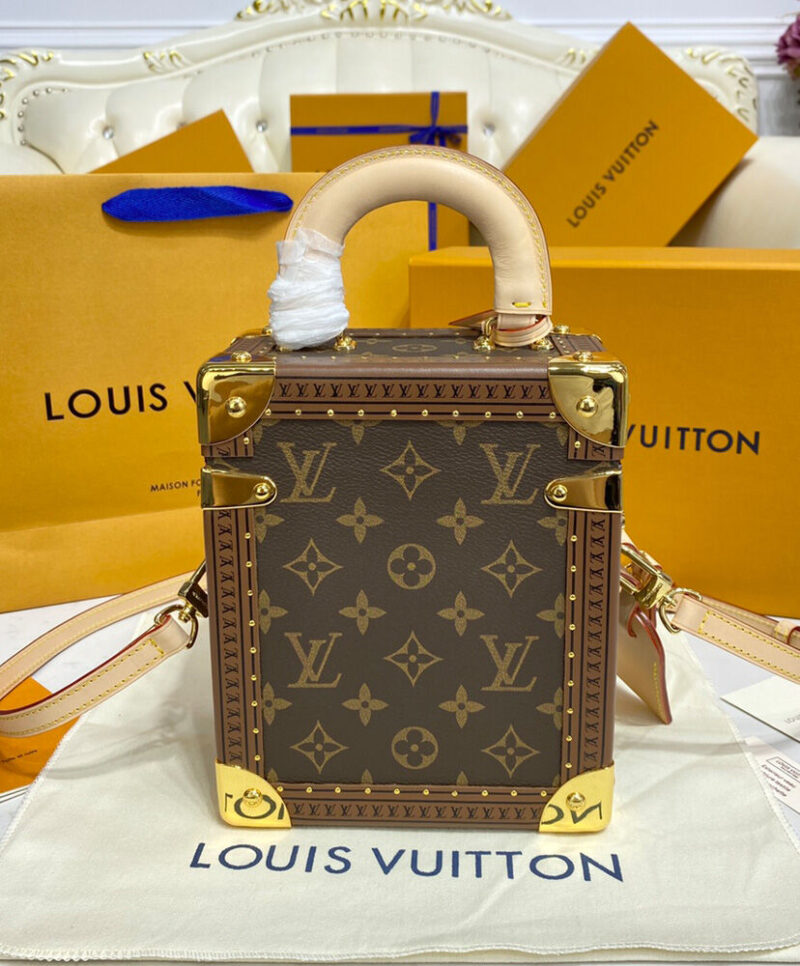 Louis Vuitton Camera Box M10079 Brown
